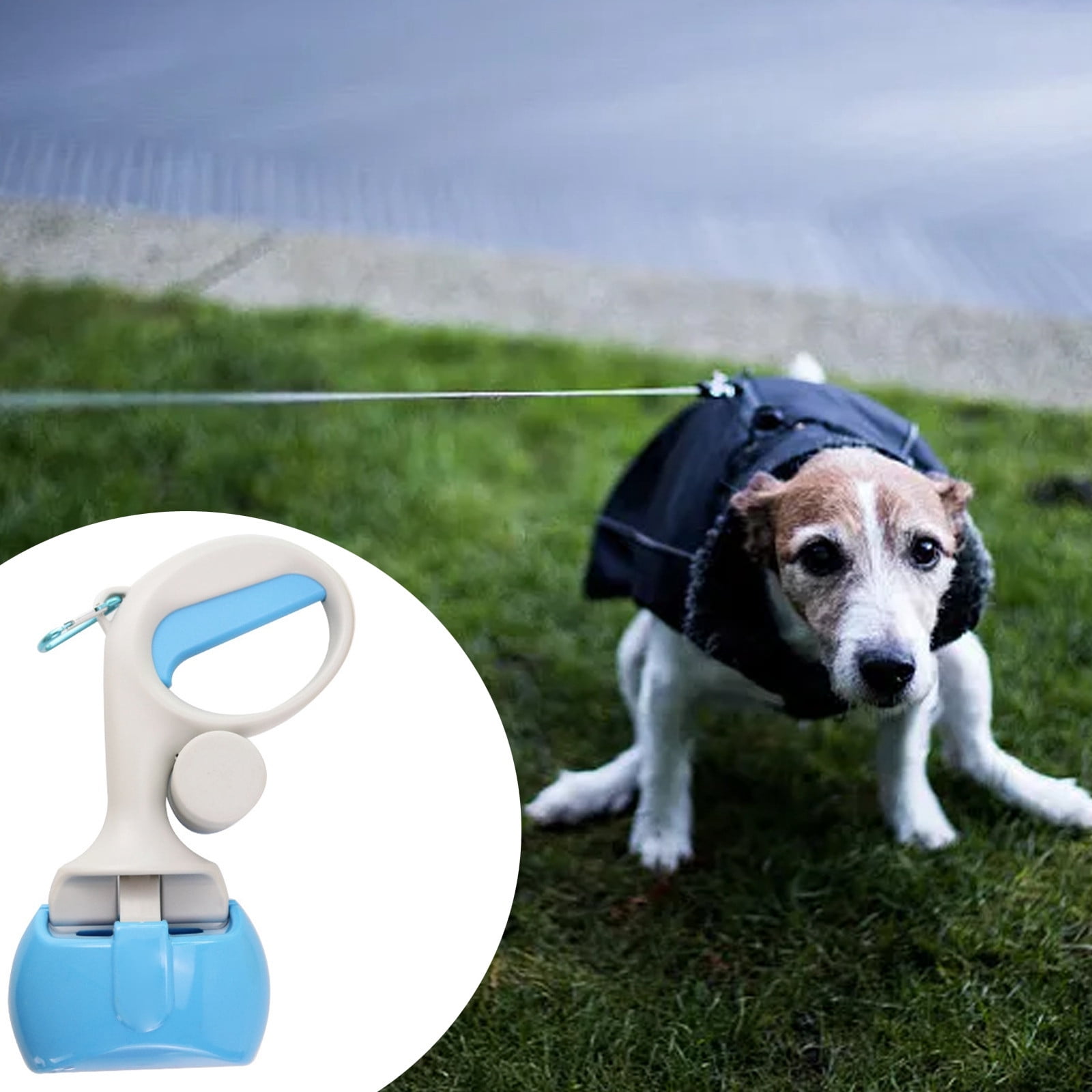 Poop Rake Popular Pet Toilet Portable Dog Feces Toilet With Garbage Bag ...