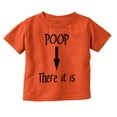 thumbnail image 1 of Poop There Is Funny Tag Team Song Toddler Boy Girl T Shirt Infant Toddler Brisco Brands 4T, 1 of 6