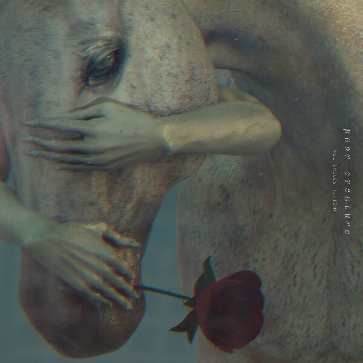 Poor Creature - All Smiles Tonight - Music & Performance - CD