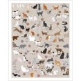 thumbnail image 1 of Pop Chart | Cats, Categorized |Art Poster | Infographic of Every Cat Breed | Perfect Cat Lover Wall Decor for Living Room, Kitchen, and Bedroom | 100% Designed and Made in the USA, 1 of 3