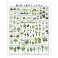 thumbnail image 1 of Pop Chart | Horticultural Chart of Houseplants Wall Art | Botanical Poster | Earthy Wall Decor |, 1 of 1