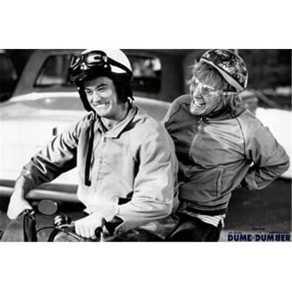 Pop Culture Graphics MOV189553 Dumb & Dumber Movie Poster, 17 x 11