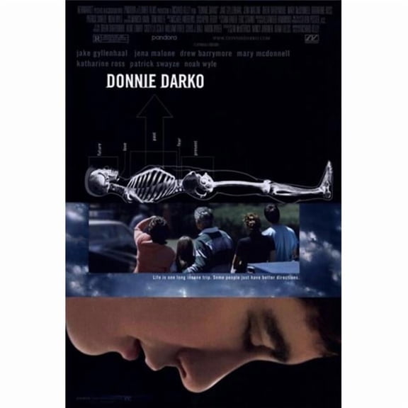 Pop Culture Graphics MOV203093 Donnie Darko Movie Poster, 11 x 17