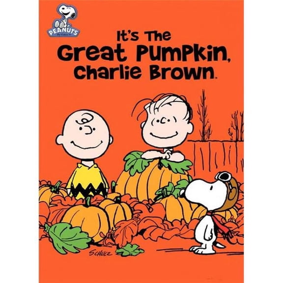 Pop Culture Graphics MOVCI7548 Its a Great Pumpkin Charlie Brown Movie Poster, 11 x 17