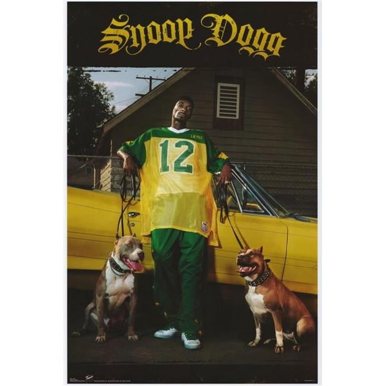 Snoop Dogg Movie Poster (11 x 17) - Walmart.com