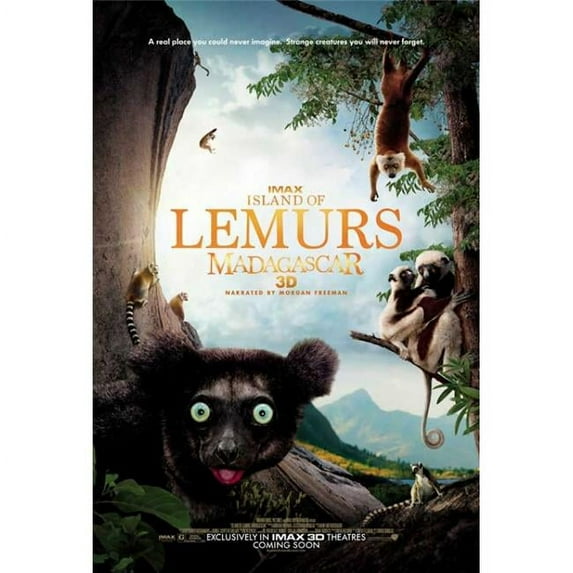 Pop Culture Graphics MOVGB44935 Island of Lemurs Madagascar IMAX 3D Movie Poster, 11 x 17