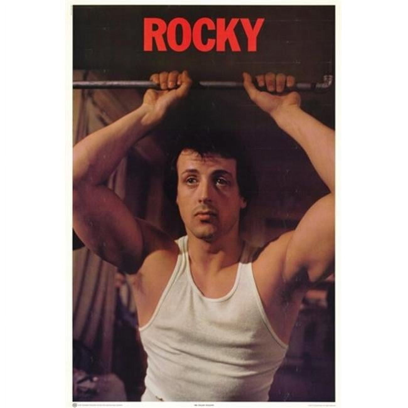 Pop Culture Graphics Rocky Movie 11" x 17" Framed Poster