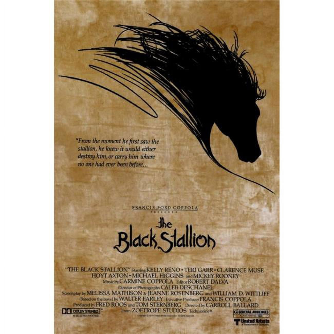 ワイルドブラックTHE BLACK STALLION USオリジナル映画ポスター The Black Stallion (1979) Original Movie Posters