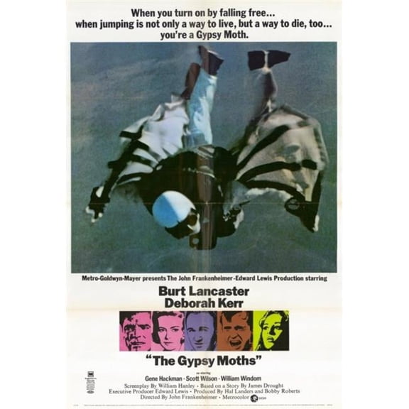 Pop Culture Graphics The Gypsy Moths Movie Poster Print - 27 x 40