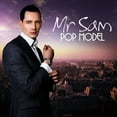 thumbnail image 1 of Pop Model (CD), 1 of 1