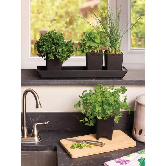 Pop-Out Pots Set of 4