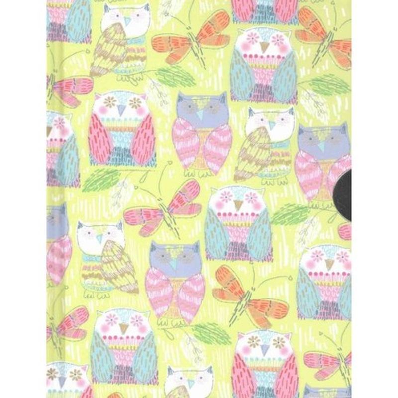 Pop Owls Locking Journal (Diary, Notebook)