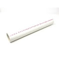 thumbnail image 1 of Pop-Up Plumbing Riser PVC Pipe 2" - Pentair In-Floor | 236200, 1 of 6