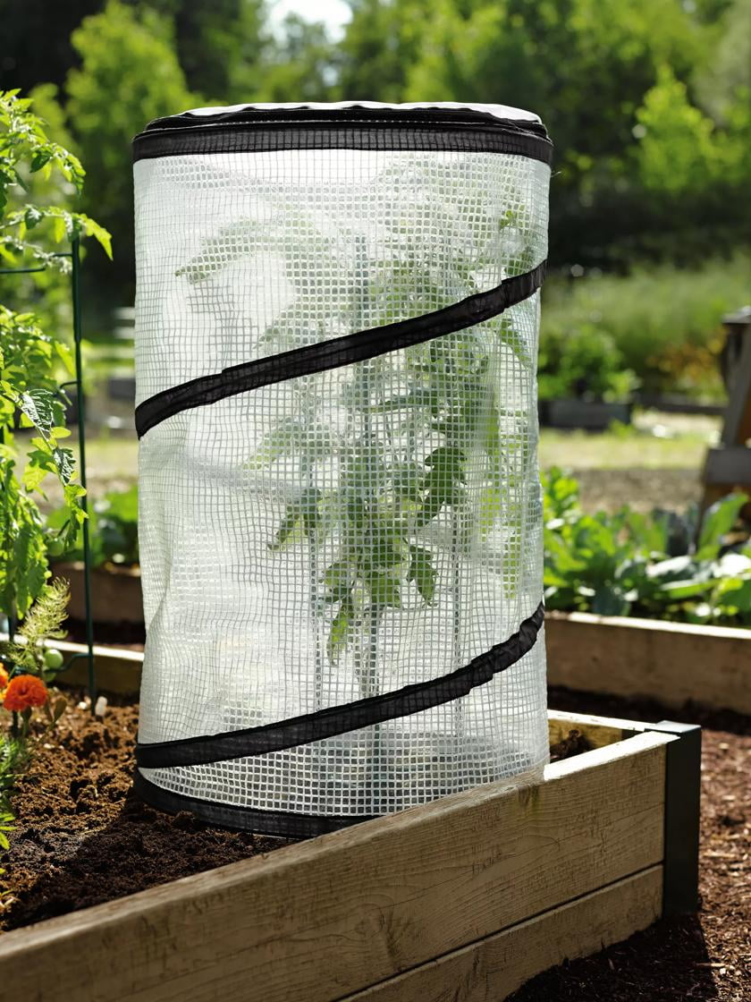 Large Clear Mesh Pop-Up Tomato Plant Protector Cage