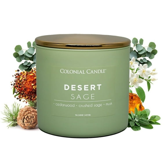 Pop of Color Desert Sage Scented Jar Candle, 3 Wick, 14.5 oz, 80 Hours Burn, Water