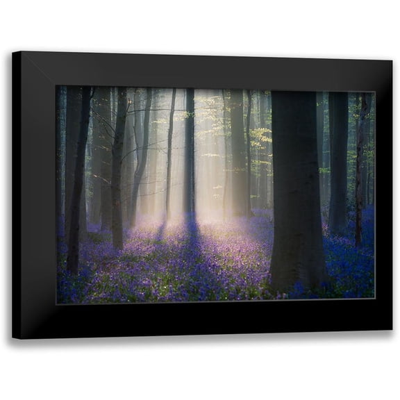 Popan, Adrian 14x11 Black Modern Framed Museum Art Print Titled - Velvet Light