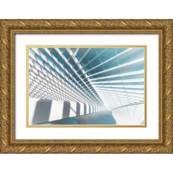 Popan, Adrian 24x17 Gold Ornate Wood Framed with Double Matting Museum Art Print Titled - Icy Light