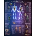 thumbnail image 1 of Popar - Human Anatomy Interactive Wall Char, 1 of 2