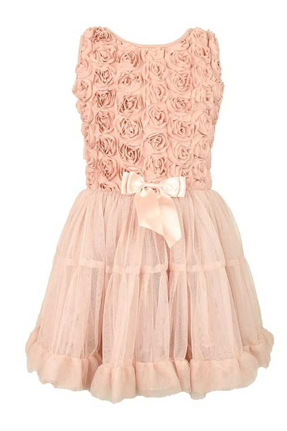 Dusty Rose Rosette Tulle Petti Dress, Little Girls' XS
