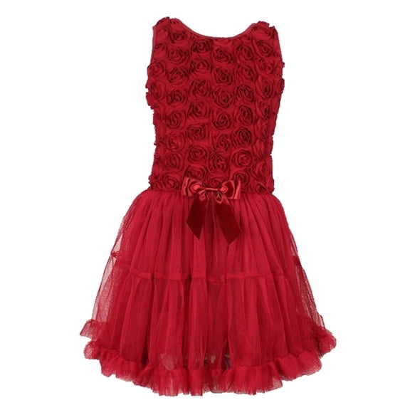 Popatu Little Girl's Burgundy Rosette Petti Tutu Dress, XS (2T)