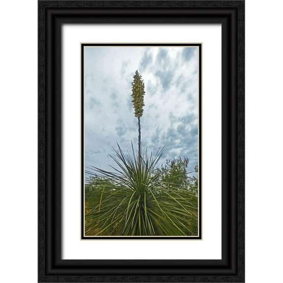 Popcorn 10x14 Black Ornate Wood Framed with Double Matting Museum Art Print Titled - Desert Scape 8