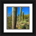thumbnail image 1 of Popcorn 12x12 Black Ornate Wood Framed with Double Matting Museum Art Print Titled - Desert Scape 12b, 1 of 4