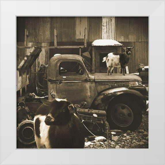 Popcorn 12x12 White Modern Wood Framed Museum Art Print Titled - Junkyard D2: Sepia Goats