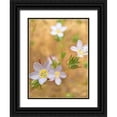 thumbnail image 1 of Popcorn 12x14 Black Ornate Wood Framed with Double Matting Museum Art Print Titled - Purple Flower III, 1 of 4