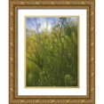 thumbnail image 1 of Popcorn 12x14 Gold Ornate Wood Framed with Double Matting Museum Art Print Titled - Wildflowers Macro I, 1 of 4