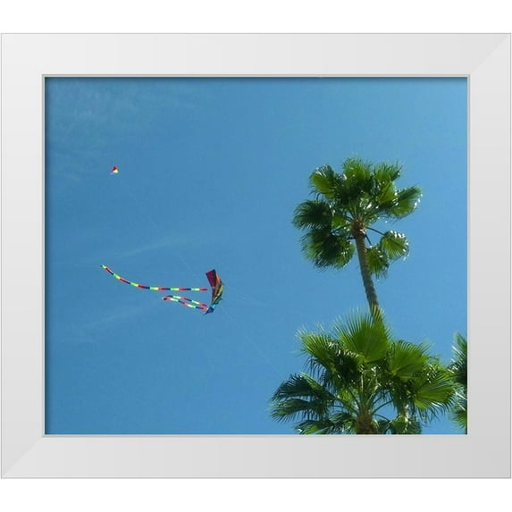Popcorn 13x12 White Modern Wood Framed Museum Art Print Titled - Kites I