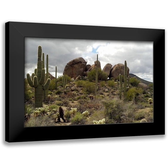 Popcorn 14x10 Black Modern Framed Museum Art Print Titled - Cathedral Rock