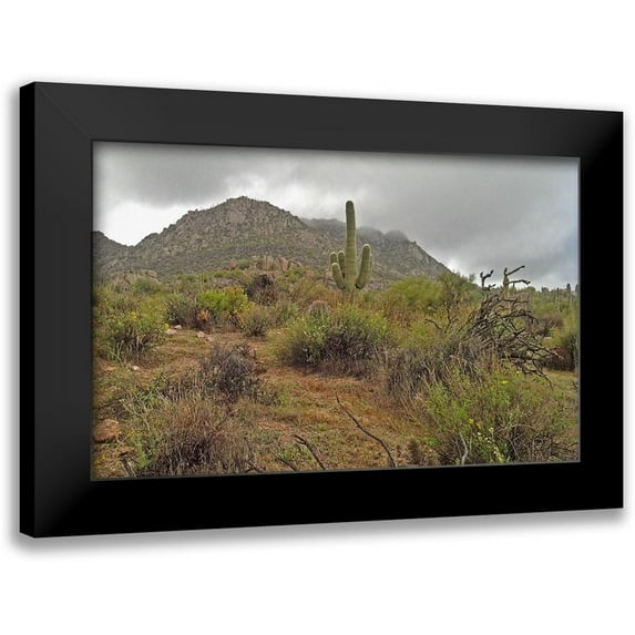 Popcorn 14x10 Black Modern Framed Museum Art Print Titled - Granite Mountain II