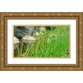 thumbnail image 1 of Popcorn 14x10 Gold Ornate Wood Framed with Double Matting Museum Art Print Titled - Agua Fria National Monument, 1 of 4