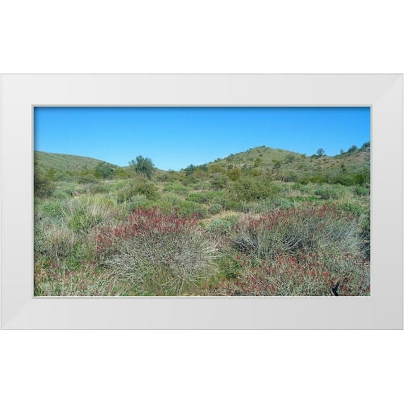 Popcorn 14x10 White Modern Wood Framed Museum Art Print Titled - Desert Scape 5: Penstemon