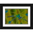 thumbnail image 1 of Popcorn 14x11 Black Ornate Wood Framed with Double Matting Museum Art Print Titled - Color Blast XXIb, 1 of 4