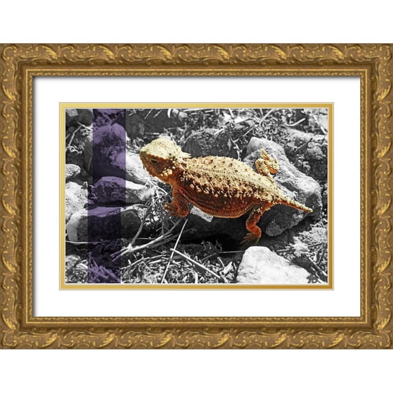 Popcorn 14x11 Gold Ornate Wood Framed with Double Matting Museum Art Print Titled - Horned Toad B-W Purple Stripe