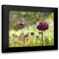 thumbnail image 1 of Popcorn 14x12 Black Modern Framed Museum Art Print Titled - Sage I, 1 of 5