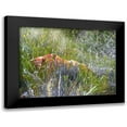 thumbnail image 1 of Popcorn 14x12 Black Modern Framed Museum Art Print Titled - Sedimentations: Rock In The Tall Grass, 1 of 5