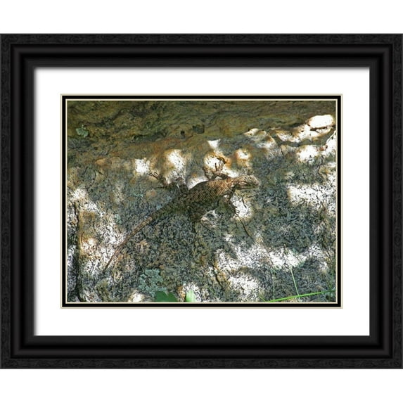 Popcorn 14x12 Black Ornate Wood Framed with Double Matting Museum Art Print Titled - Lizard IV