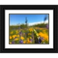 thumbnail image 1 of Popcorn 14x12 Black Ornate Wood Framed with Double Matting Museum Art Print Titled - Wildflowers XXXVII, 1 of 4