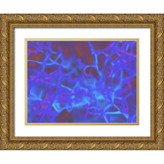 Popcorn 14x12 Gold Ornate Wood Framed with Double Matting Museum Art Print Titled - Confetti III