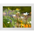 thumbnail image 1 of Popcorn 14x12 White Modern Wood Framed Museum Art Print Titled - Wildflower IV, 1 of 4