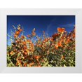 thumbnail image 1 of Popcorn 14x12 White Modern Wood Framed Museum Art Print Titled - Wildflowers XV, 1 of 4