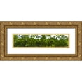 thumbnail image 1 of Popcorn 14x6 Gold Ornate Wood Framed with Double Matting Museum Art Print Titled - Among Leaves I, 1 of 4