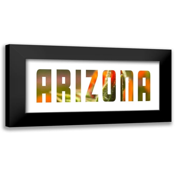 Popcorn 14x8 Black Modern Framed Museum Art Print Titled - Arizona