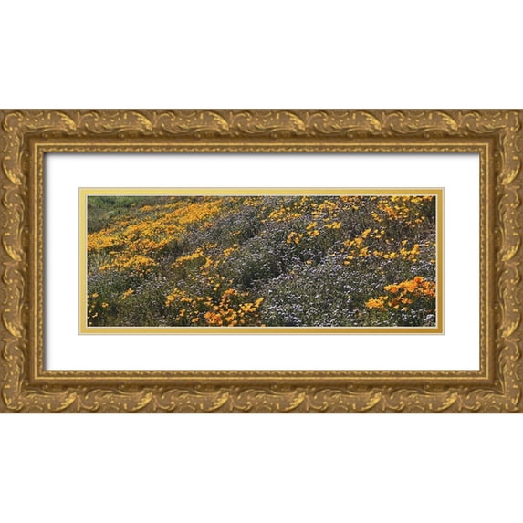 Popcorn 14x8 Gold Ornate Wood Framed with Double Matting Museum Art Print Titled - Wildflowers XXVIII