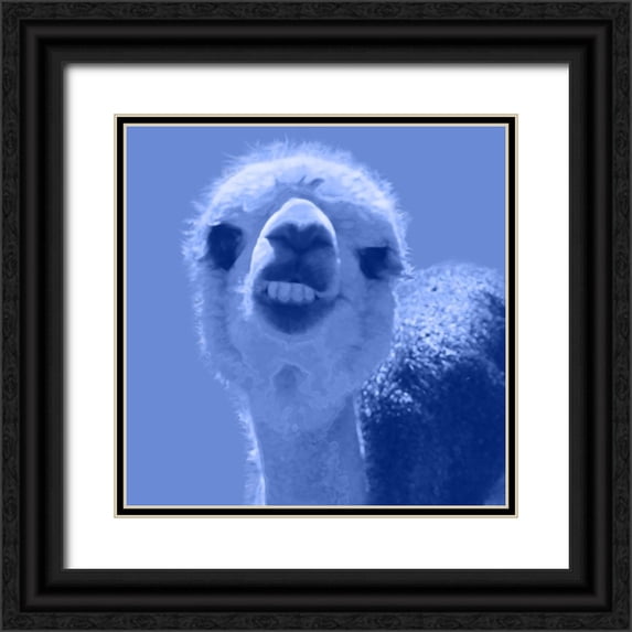 Popcorn 15x15 Black Ornate Wood Framed with Double Matting Museum Art Print Titled - Alpaca Blue