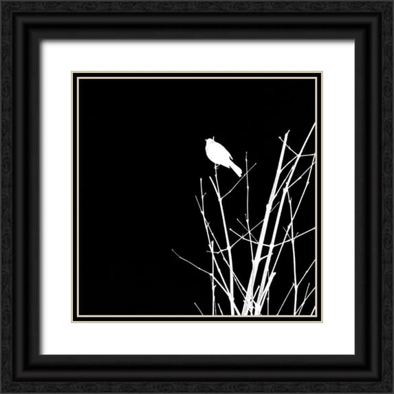 Popcorn 15x15 Black Ornate Wood Framed with Double Matting Museum Art Print Titled - Bird Silhouette VII