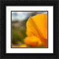 thumbnail image 1 of Popcorn 15x15 Black Ornate Wood Framed with Double Matting Museum Art Print Titled - Poppy, 1 of 4
