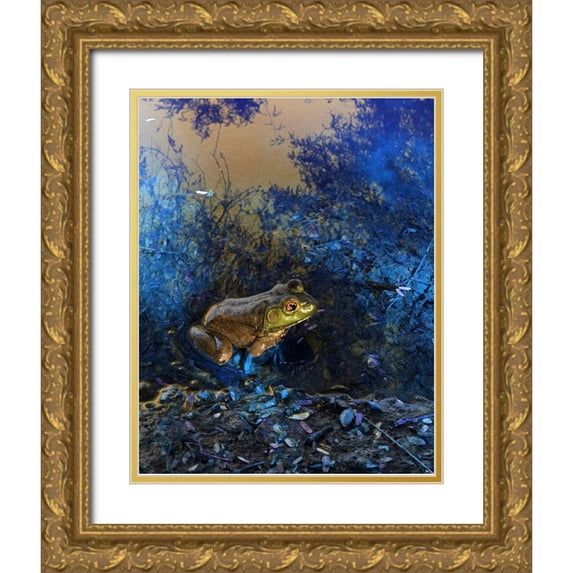 Popcorn 15x18 Gold Ornate Wood Framed with Double Matting Museum Art Print Titled - Frog I